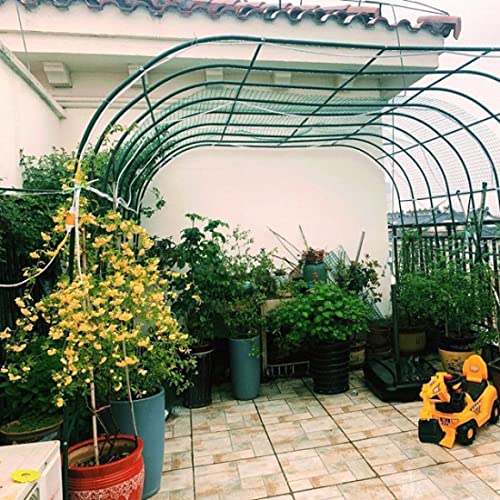 Arco de jardín para plantas trepadoras que soluciona la falta de soporte en exteriores 8