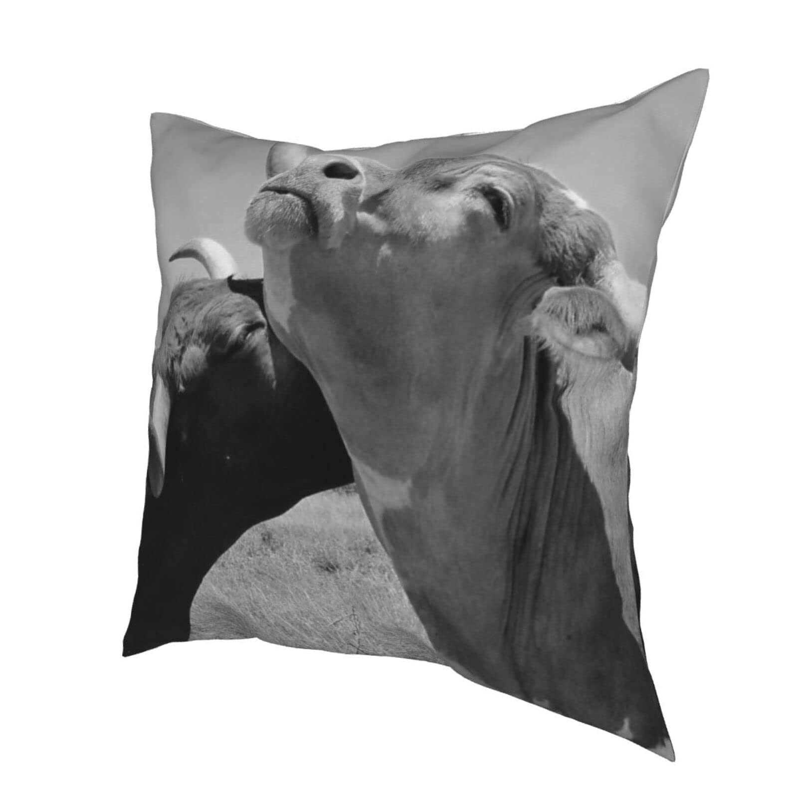 Federa decorativa per cuscino con stampa di mucca, per