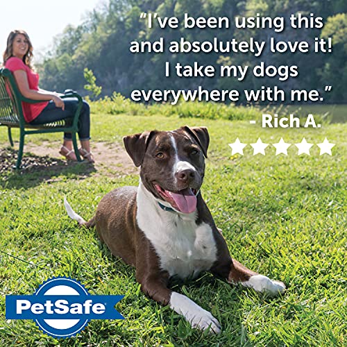 Is PetSafe A Good Brand? Why We Rate It 82/100