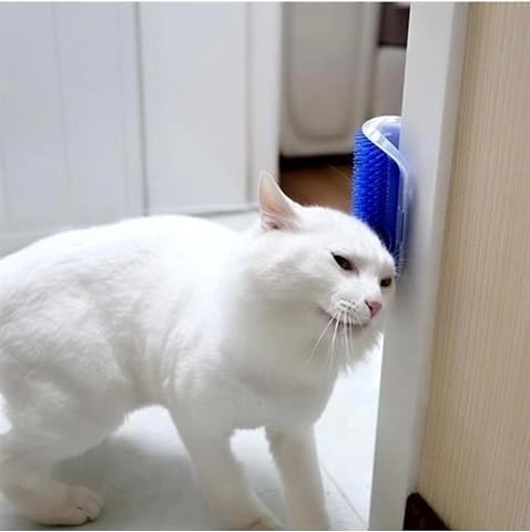 Kedi Kaşınma ve Taranma Aparatı Duvara Monte Edilebilir Kedi Kaşınma