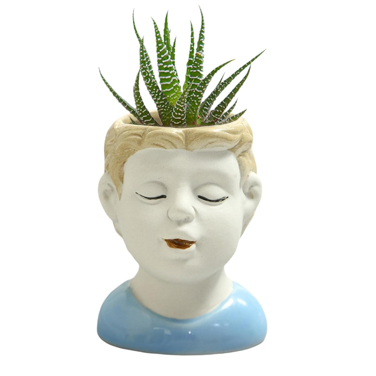 Swap International Cute Succulent Pots Ceramic Planter Small Succulent