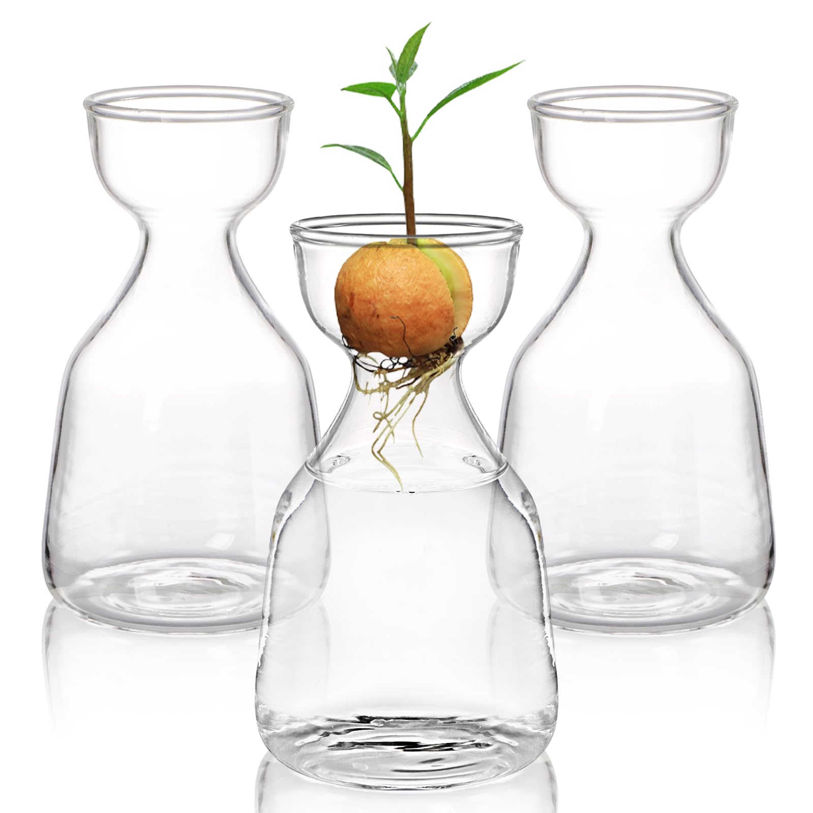 Hiceeden 3-Pack Avocado Seed Starter Vase