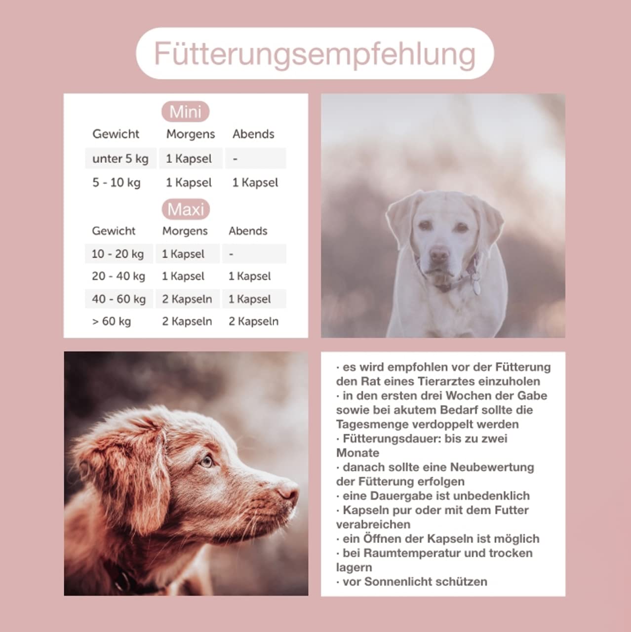 Dreier-Set CaniMove Dermal mini (300 Kapseln), Ergänzungsfuttermittel zur Unterstützung von Hautfunktion, bei Haarausfall, Schuppen und stumpfen Fell