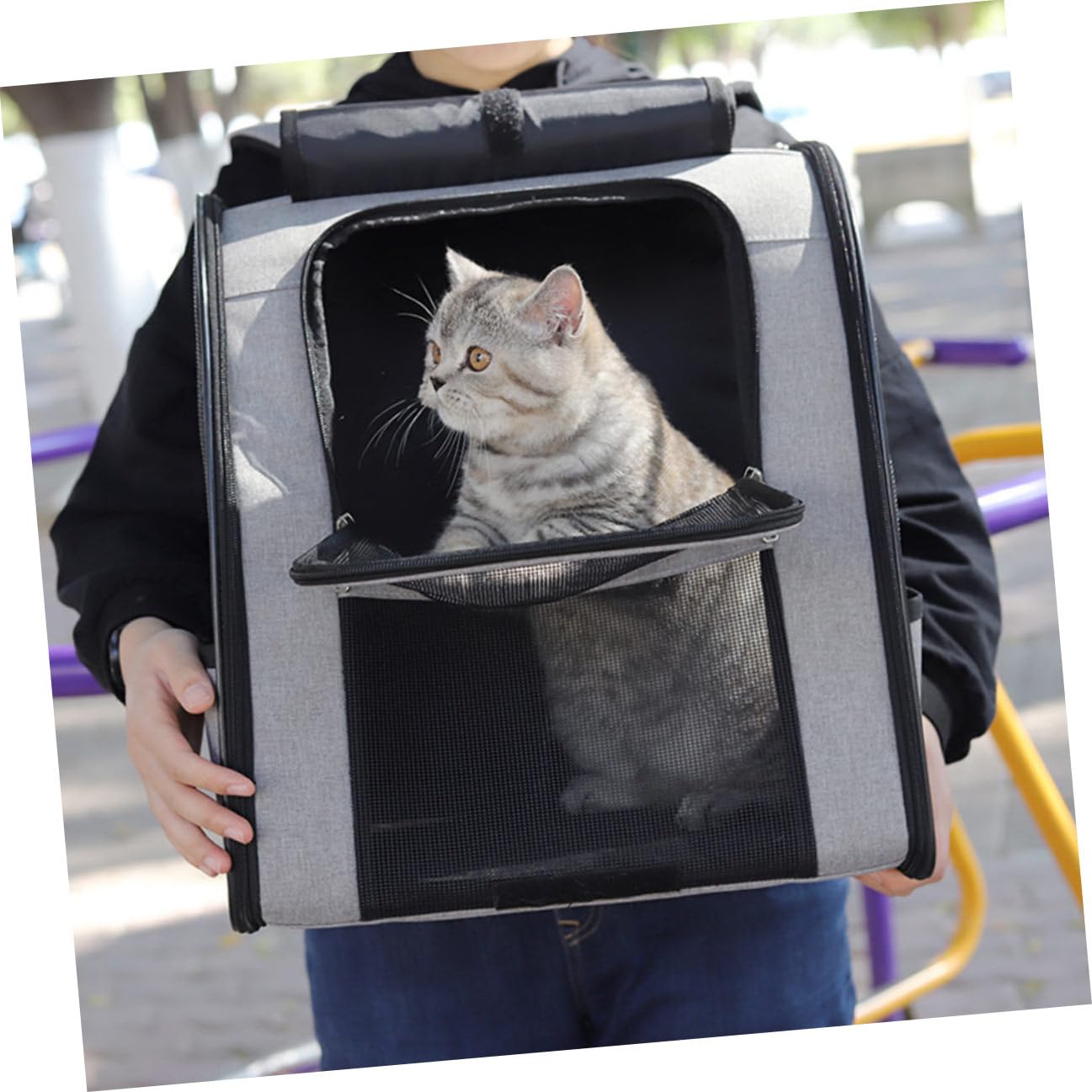 GALPADA Katzentragetasche mit Katzen und Haustieren für Reisen und Ausflüge Atmungsaktive aus Oxfordstoff mit Verstellbaren Schultergurten Großer Kapazität