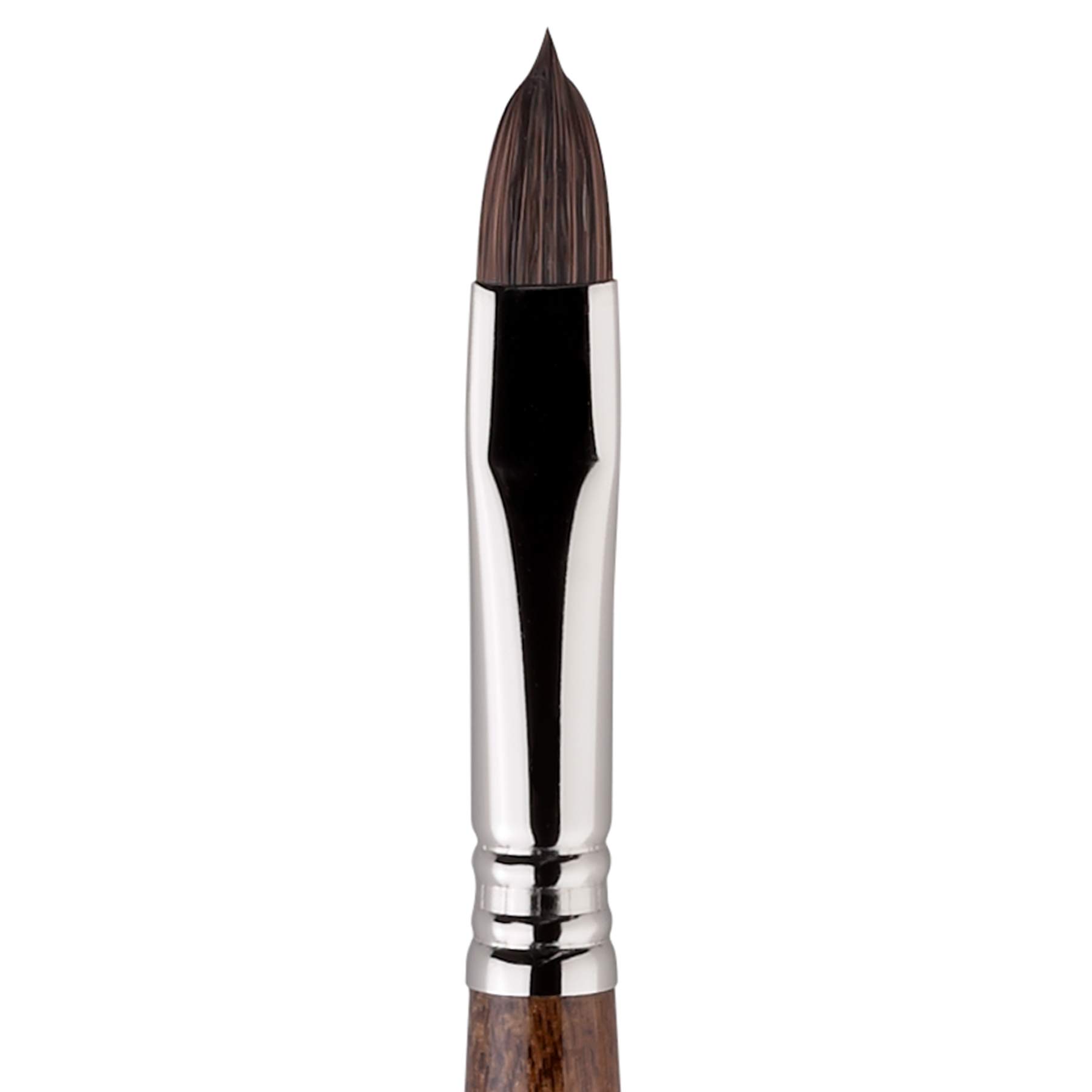 Escoda Versatil 1541 Série Pinceau pour aquarelle et acrylique à manche court Filbert Taille 14