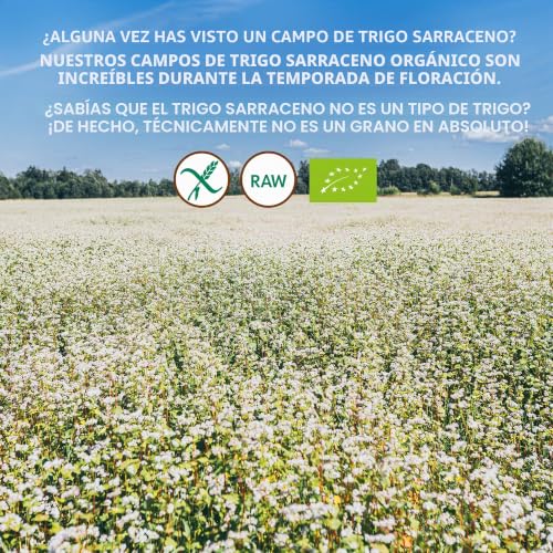 Miniatura 9 de Harina De Trigo Sarraceno Cruda Orgánica, 1 Kg, Harina Sin Gluten, No Tratada Térmicamente, Conserva Todos Los Nutrientes, Delicioso Sabor A Nuez, Cultivado Orgánicamente En Climas Nórdicos, No Es Ogm
