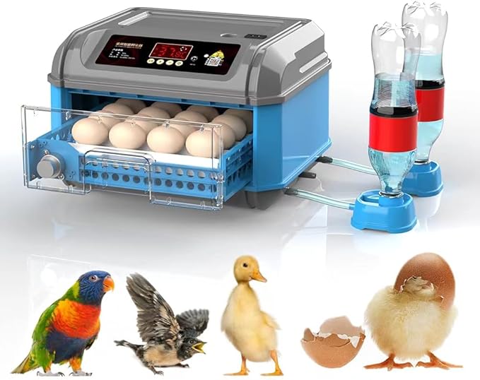 Automatic 1624 Chicken Egg Incubator & Turkey Incubators