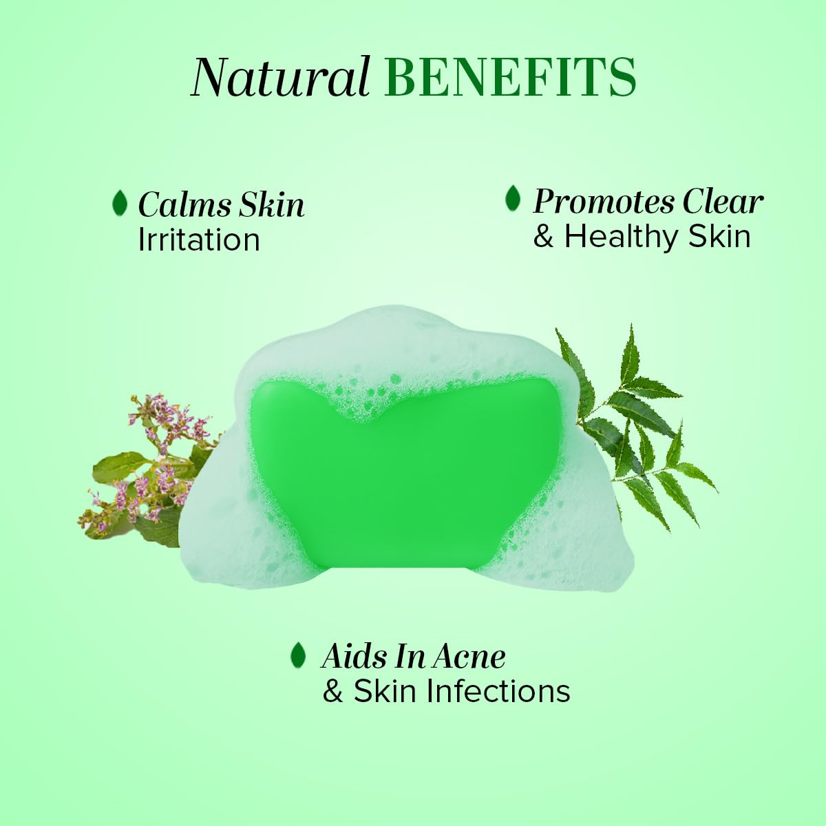 Khadi Natural Aloe Vera Soap | Herbal bath bar with essential oils. Slowly cleanses, nourishes the skin. Suitable for all types of all types. Pack of 3 (125g x 3) | 375g Khadi Natural Aloe Vera Soap | Herbal bath bar with essential oils. Slowly cleanses, nourishes the skin. Suitable for all types of all types. Pack of 3 (125g x 3) | 375g