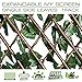 ColourTree Expandable Rectractable Faux Artificial Ivy Trellis Hedge Fence Screen Privacy Wall Screen - Commercial Grade 150 GSM - Heavy Duty - 3 Years Warranty (1, Single Sided Leaves)