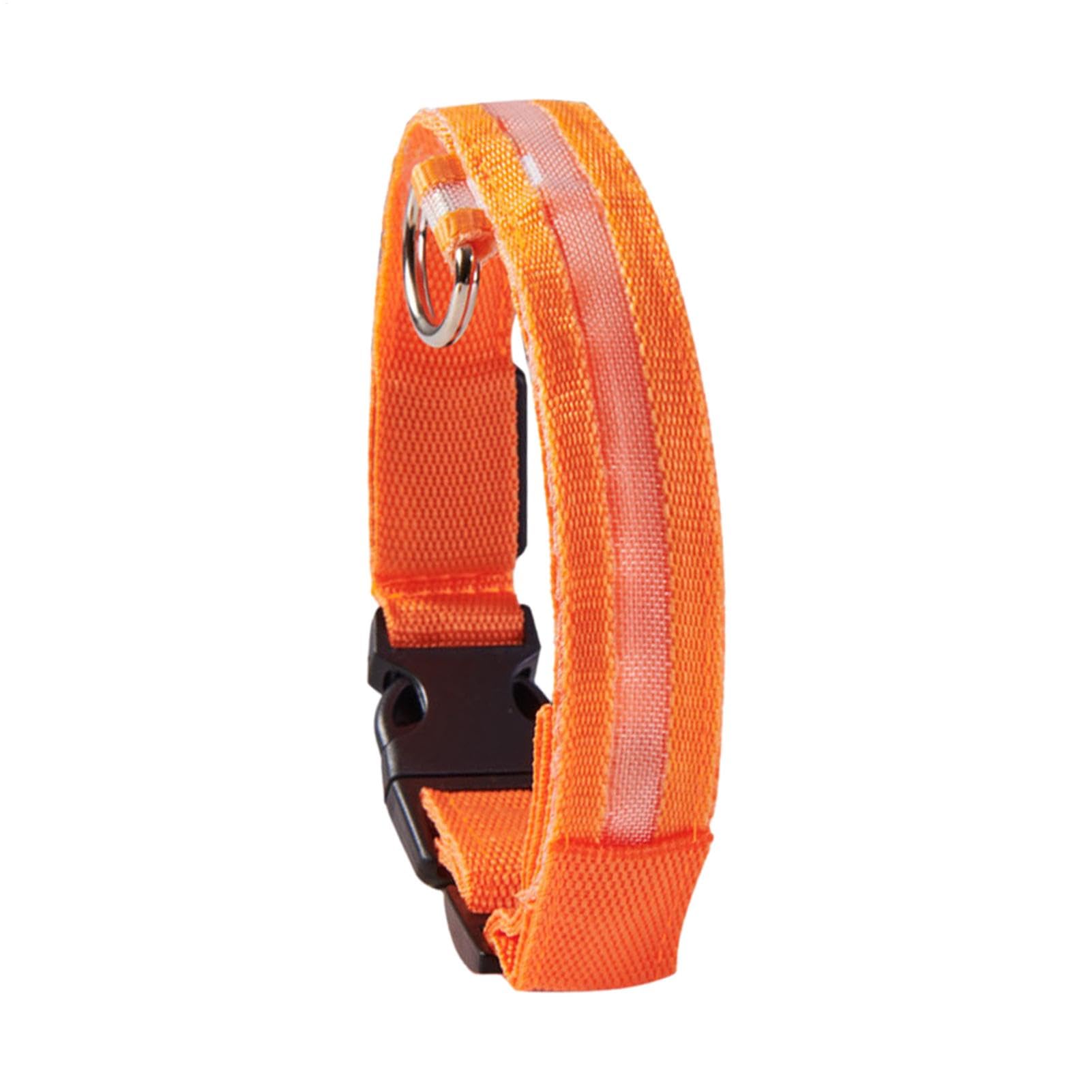 LED | Collare luminoso lampeggiante per cani, collari regolabili che | brillano al buio per cuccioli, cani di taglia media e piccola.
