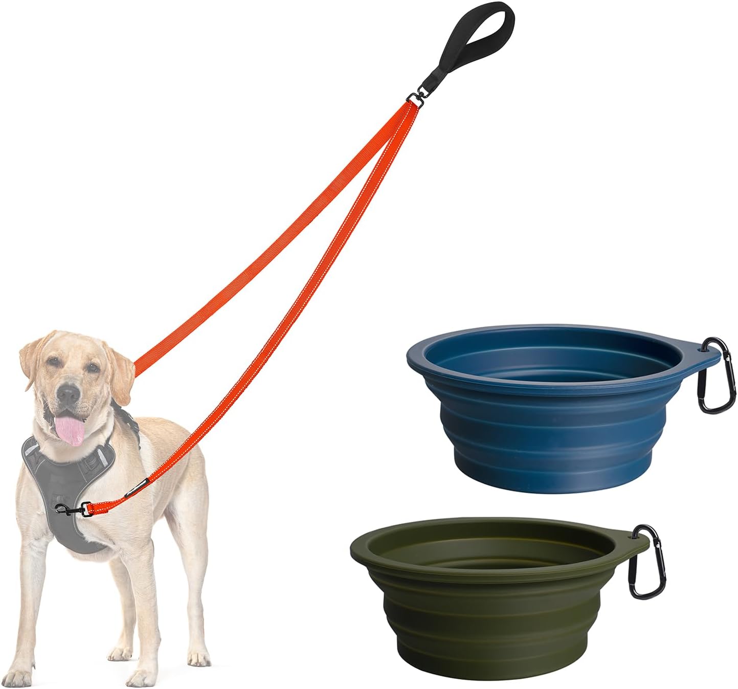 PetBonus Two Point Control Dog Leash and 2-Pack Large Silicone Collapsible Dog Bowls