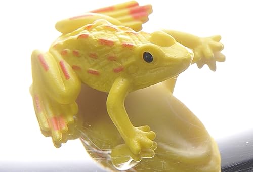 Miniatura 4 de PowerTRC Mirascopio 3-D de 6 pulgadas, creador de ilusiones  ilusiones ópticas  Juguete de efecto 3D