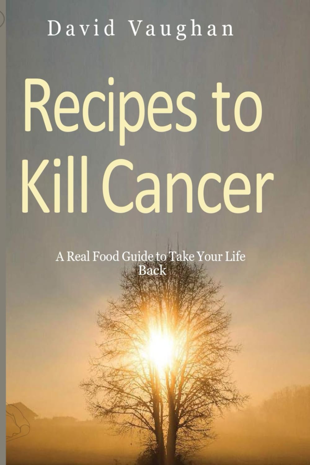 RECIPES TO KILL CANCER: A real food guide to take your life back