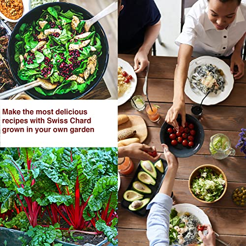 Farmer Flints Ruby Red Swiss Chard Seeds For Planting - Pack Of 100 High Germination Heirloom Seeds Non Gmo Organic For Home Garden - Red Stem Summer Spinach Seeds For Planting Vegetables And Fruits #TOP2