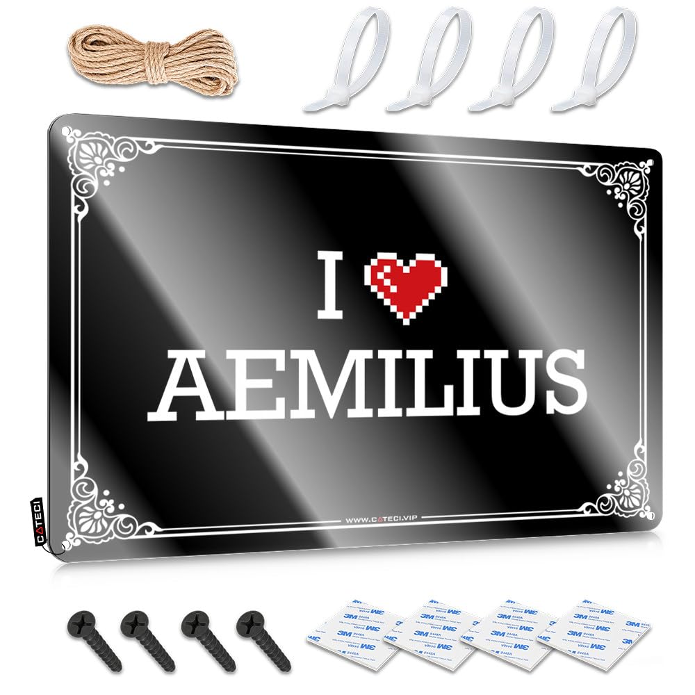 Fzfn Colour Funny Wall Signs Fun Classy I Love Aemilius For Tailgating - Modern Customizable(30X40cm)