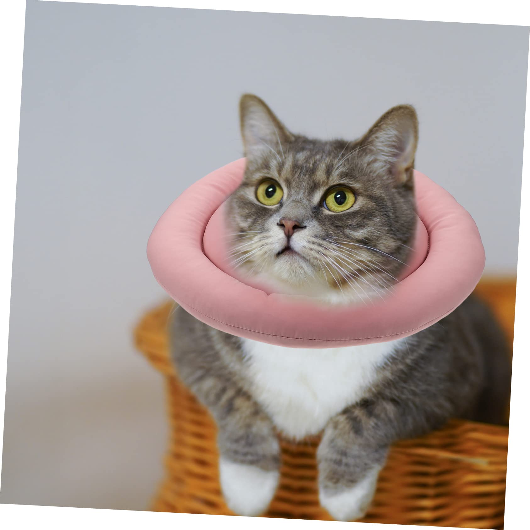BESPORTBLE 3pezzi Collare Di Per Gatti Collare Protettivo Per Post-operazione Comfort e Supporto Per Ferite e Interventi Chirurgici Adatto Per Gattini e Gatti Adulti