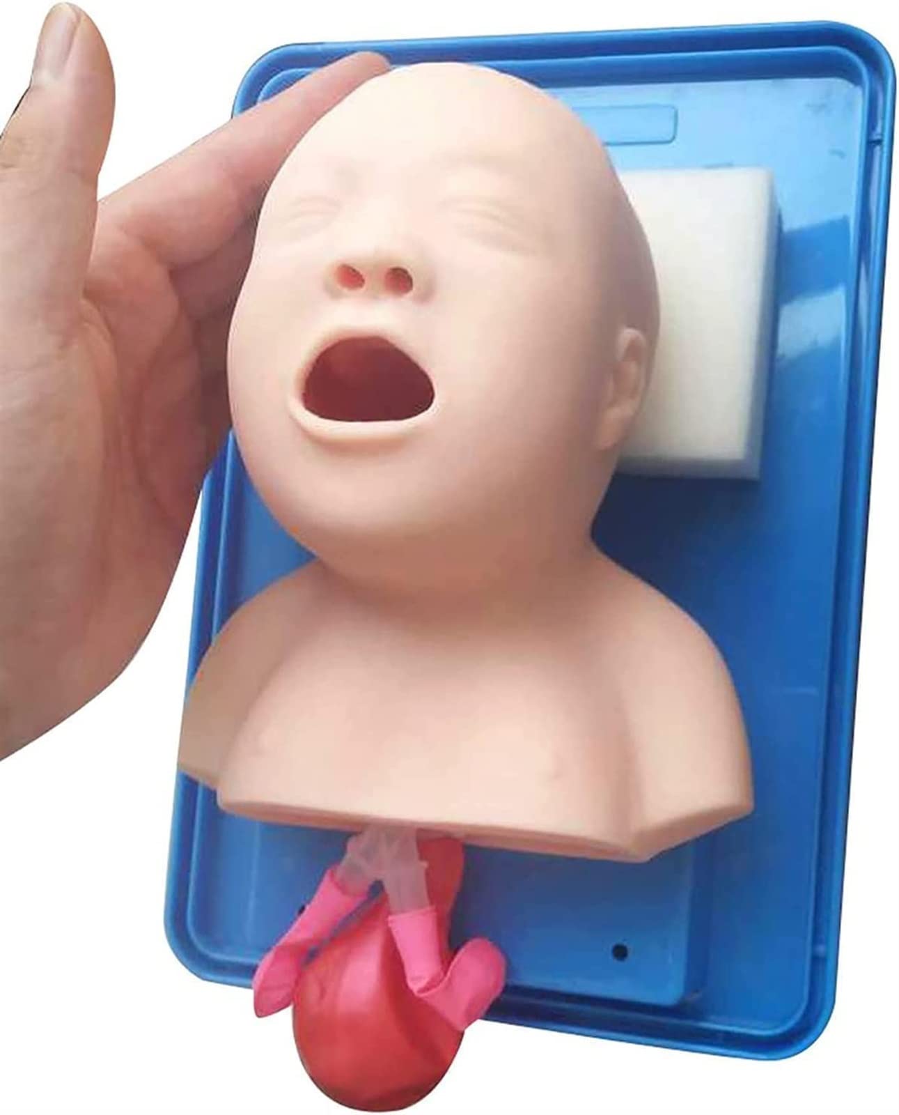 WlP Intubazione tracheale avanzata Modello PVC Intubazione pediatrica Manichino Tracheal Child Airway Trainers Nurse Lab Intubazione endotracheale Insegnamento