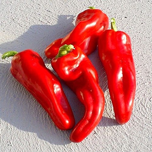 Dulce de Espana Sweet Pepper Seeds 25 seeds (B07CBYZ29V) Amazon Price History, Amazon Price Tracker