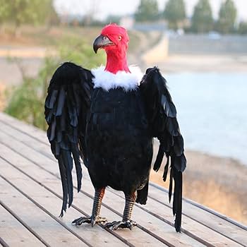 Amazon.co.jp: Generic 18 インイン人工鳥現実的なタカ剥製