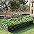 ZUNUDA Galvanized Raised Garden Bed,2 Pcs 10×3×1FT Metal Planting Box for Outdoor Vegetable, Flowers Herb,Planter Gardening (Black)