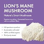 Host Defense Organic Lion’s Mane Mushroom Capsules – Immune Support & Antioxidant Supplement – 1,000 mg Potency, 120 Vegetarian Capsules, 60 Day Supply