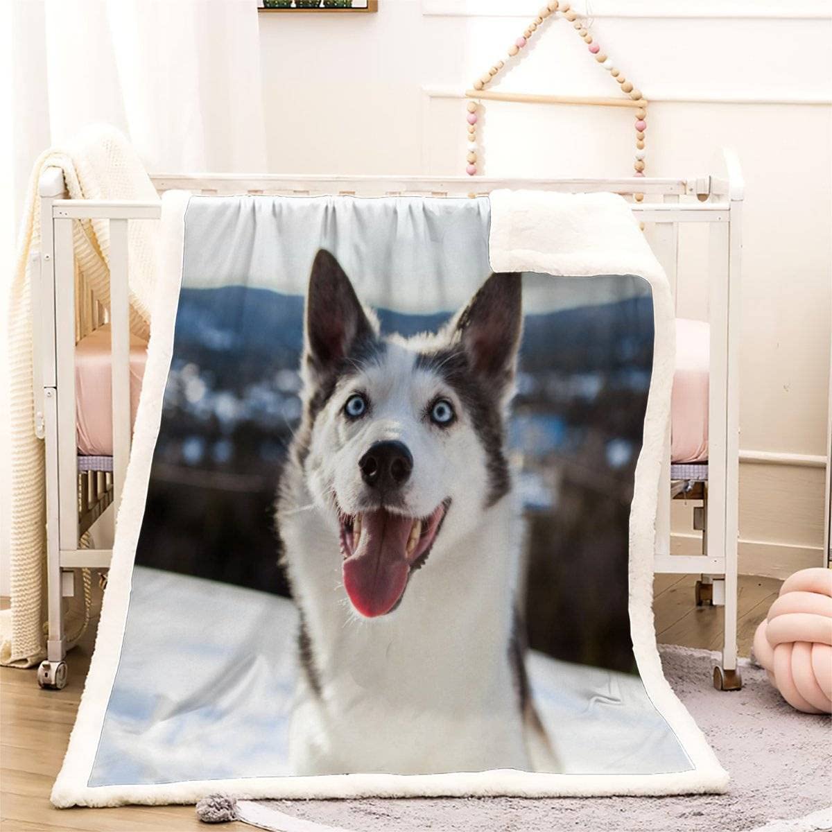 Plaid Couverture Polaire Chien Husky 3D Hiver, Chiens De Traîneau Douce Chaude Microfibre ete Hiver Couverture en Flanelle 150x200 pour Jeté de Canapé, Dessus de lit pour Enfant Fille Garcon