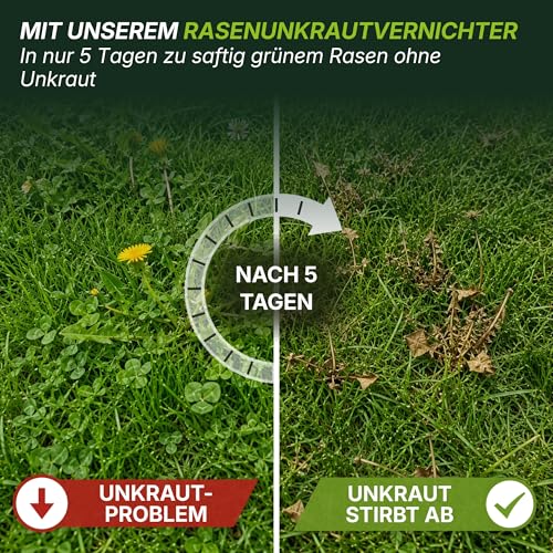 TerraUno Unkrautvernichter Rasen 100 ml, Flüssiges Unkrautvernichtungsmittel extra stark, gegen über 40 Unkräuter… – Ansicht 2