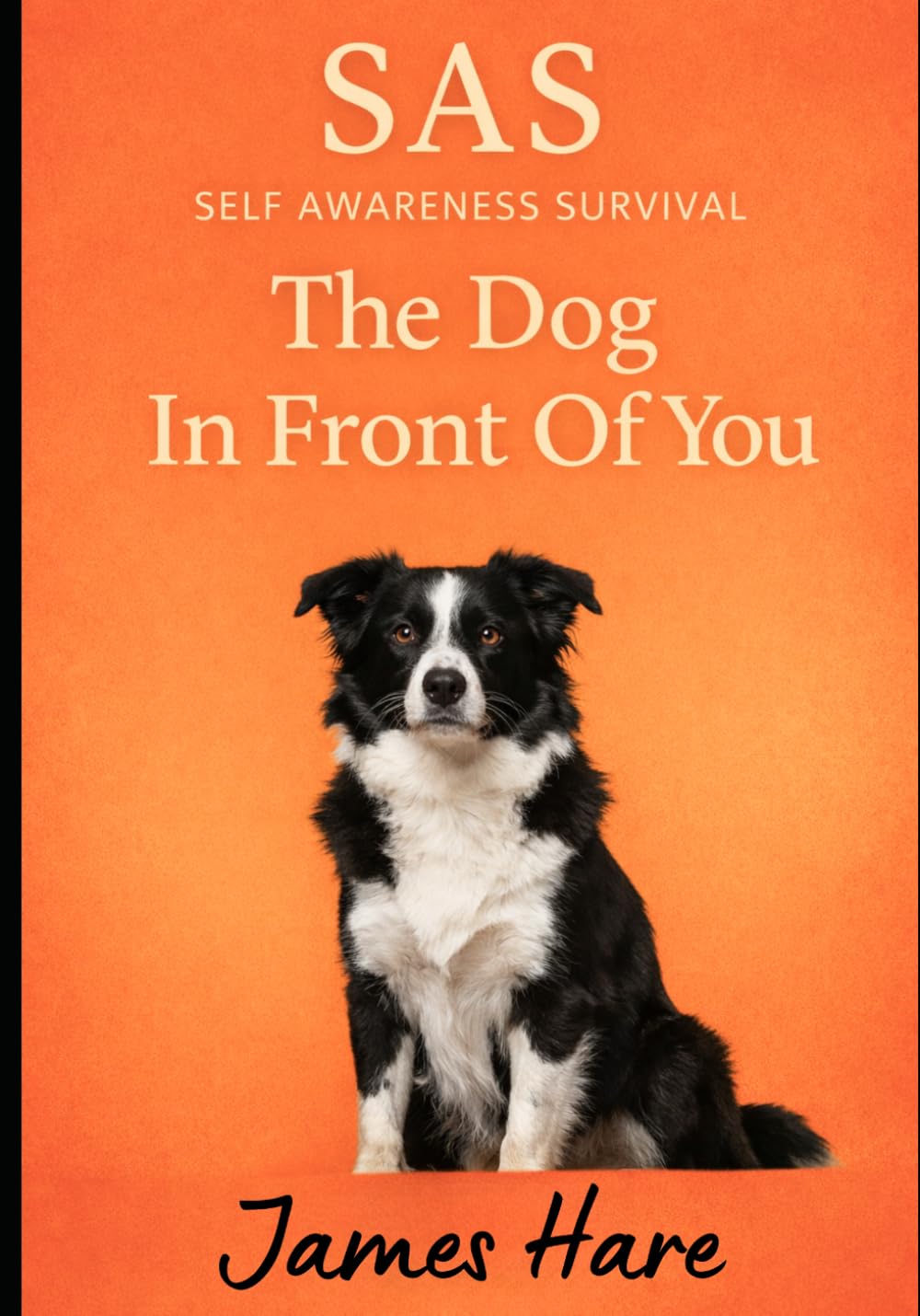 The Dog In Front of You - SAS Self Awareness Survival