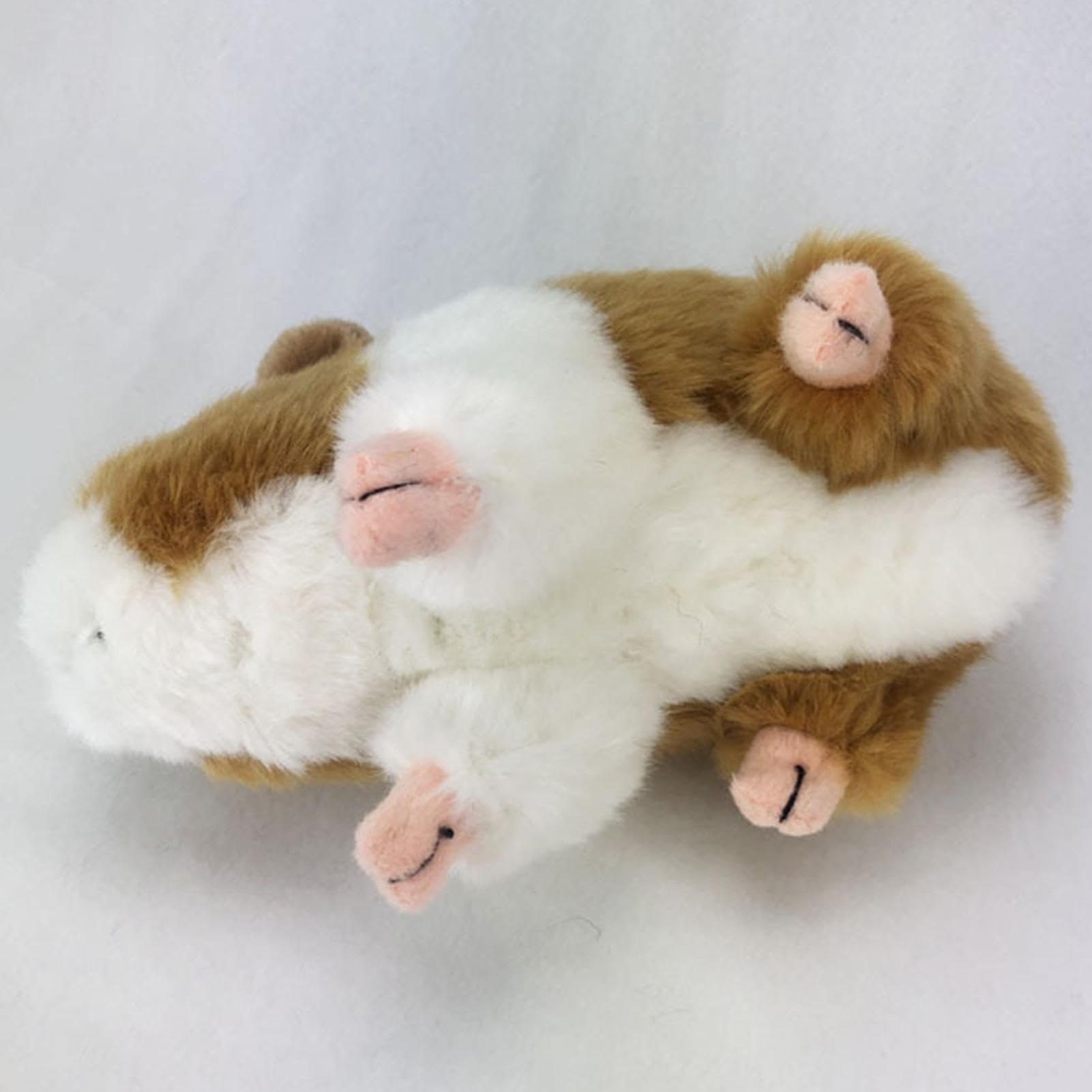 Amazon.co.jp: モルモットのぬいぐるみ - リアルなぬいぐるみ - 長さ7