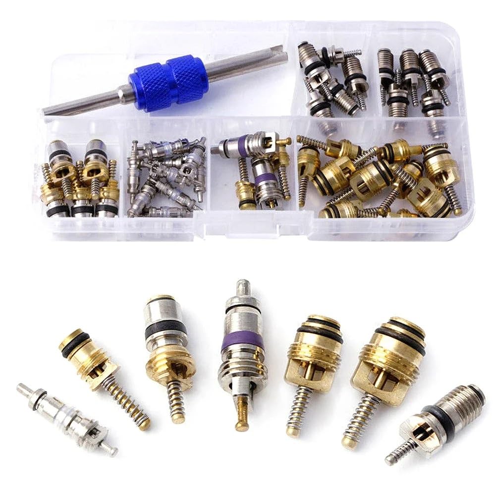 Klimaanlage Ventil Werkzeuge Klimaanlage Zubehör Core Auto R12 R134a Ventil Kerne + Remover Tool Kit Auto Zubehör