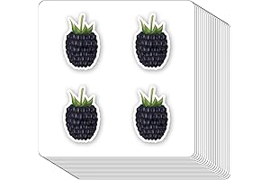 Berry Stickers: 1in Scrapbooking Stickers for Arts, Crafts, Journals (80-Pack)
