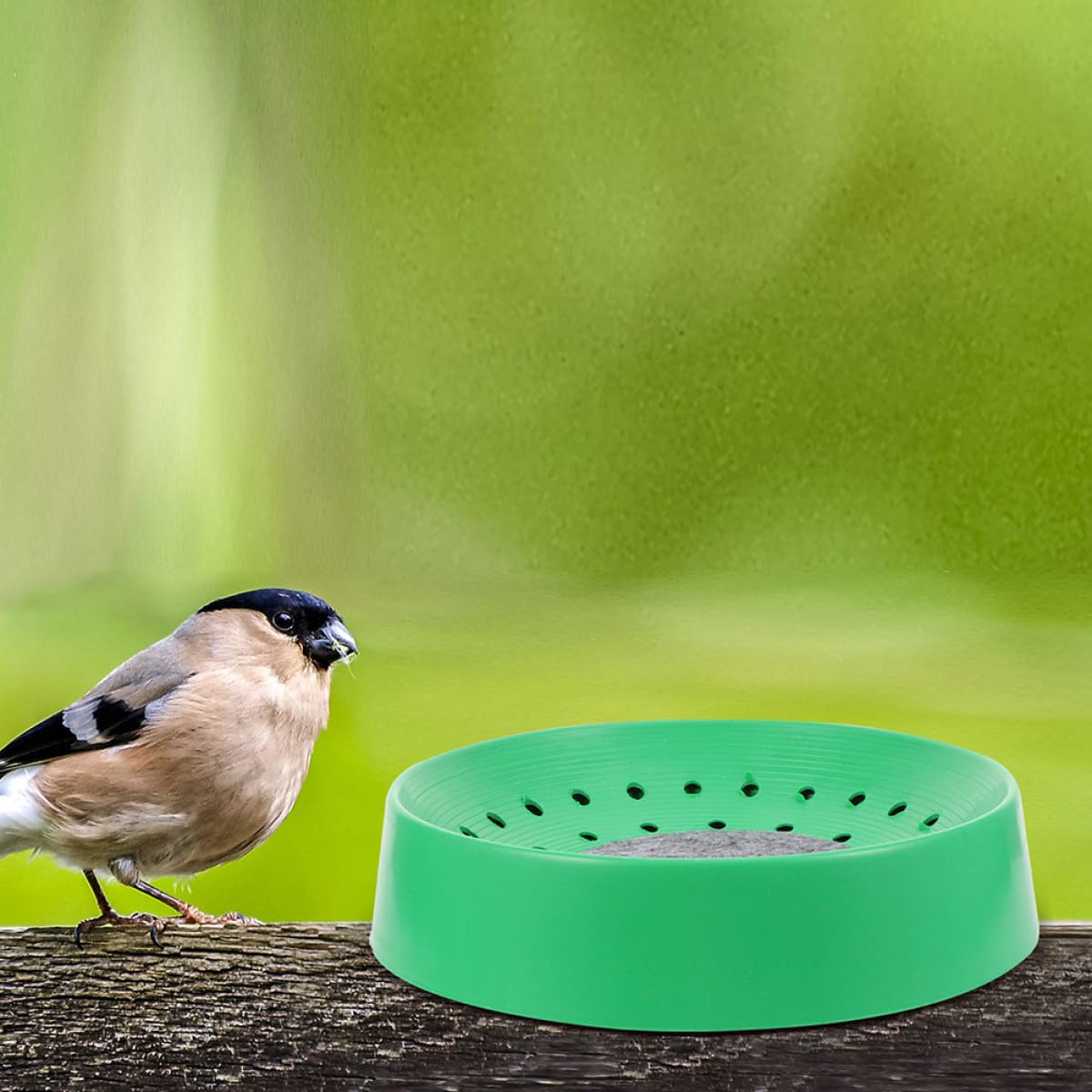 ULTECHNOVO Set da 10 Nidi per Cova di Piccioni in Plastica Riutilizzabile, Ciotole per Nidificazione Resistenti e Facili da Installare, Accessori per Gabbie di Uccelli Adatti