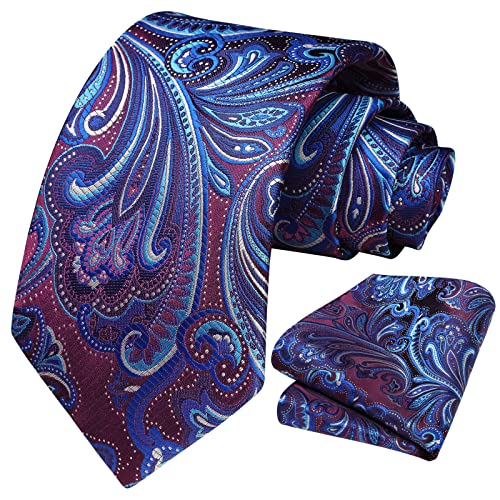 Image of HISDERN Ties for Men Paisley Tie and Pocket Square Woven Classic Floral Mens Ties Handkerchief Set Wedding Party Necktie
