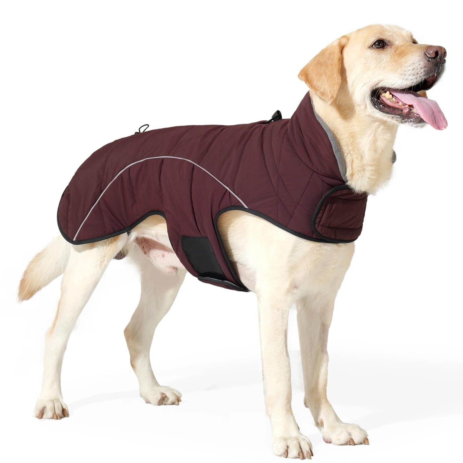 Veste imperméable extérieure pour chien grand confort bourgogne XL