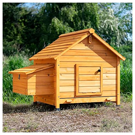 FeelGoodUK Poulailler Grand modèle