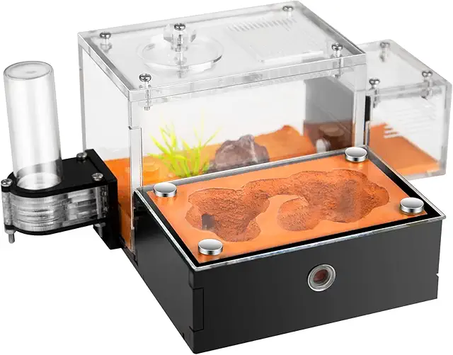Rimsunta Ameisenfarm Terrarium für lebende Ameisen & Königinnen