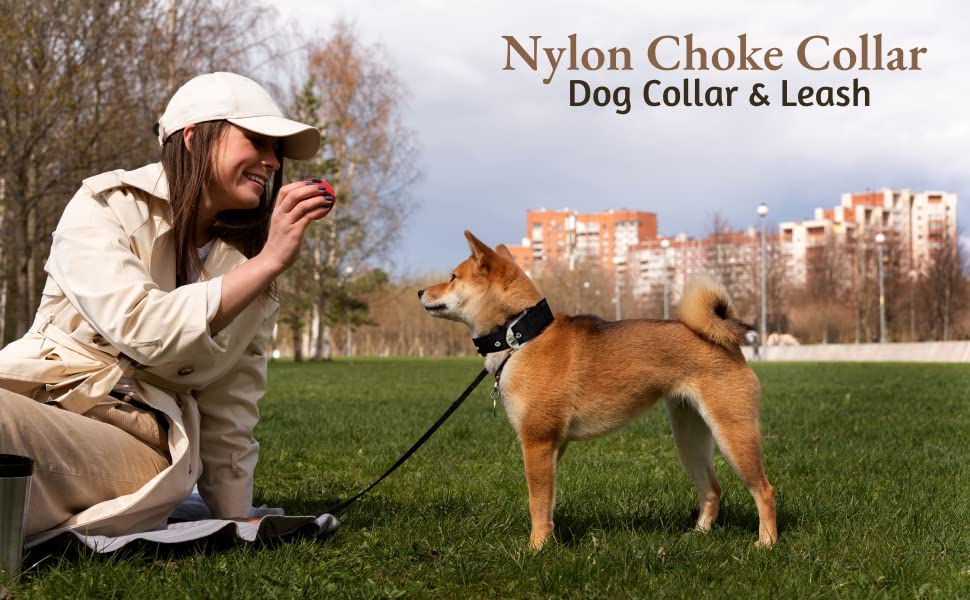 Image of Dog Belt Combo of Nylon Collar with Heavy Dog Chain 63 Inch Dog Collar Chain (Large, Black)