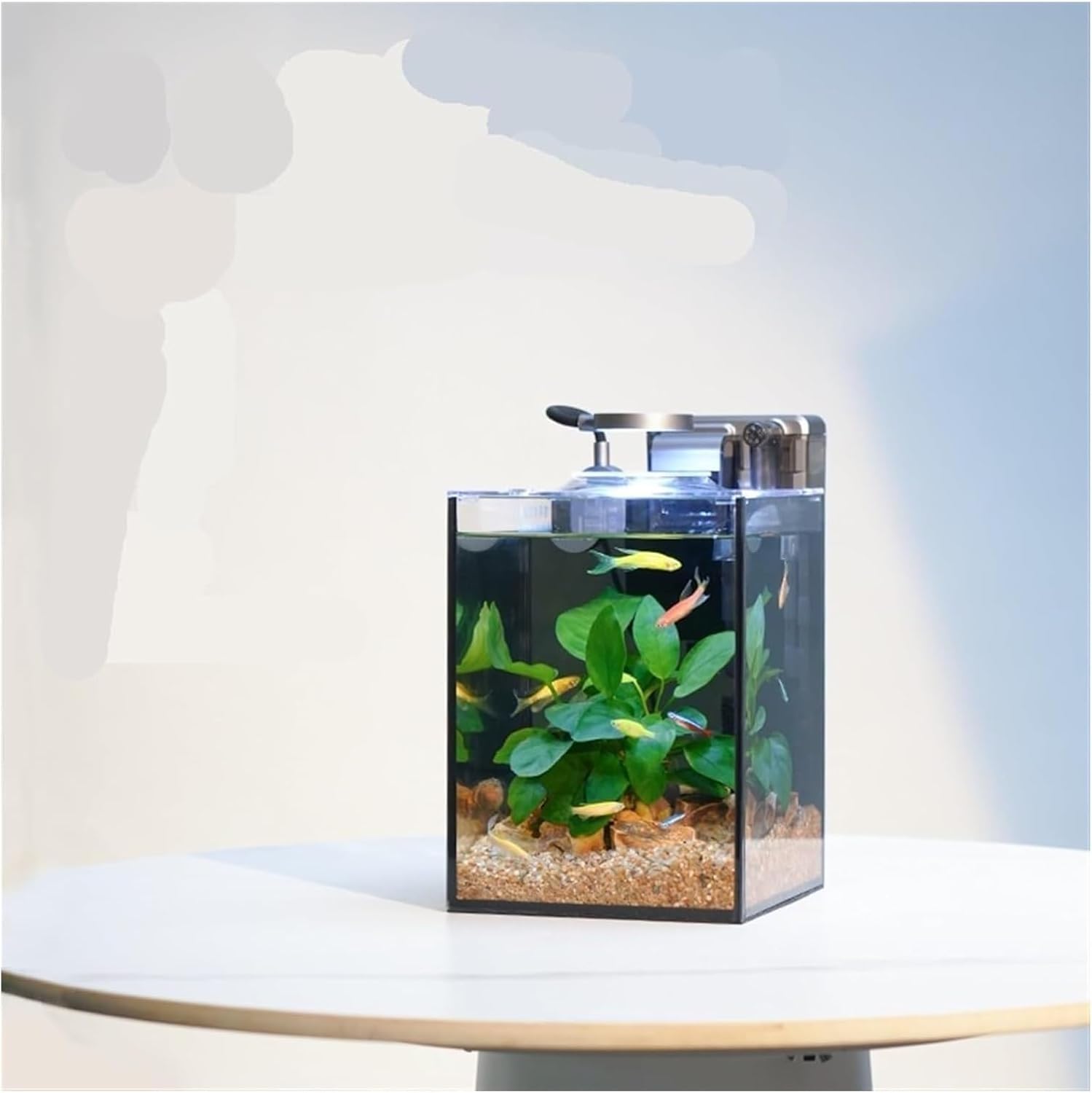 Fish Tank, Fish Bowl, Fish Bowl Living Room Home Desktop Office Small Aquarium with Accessories