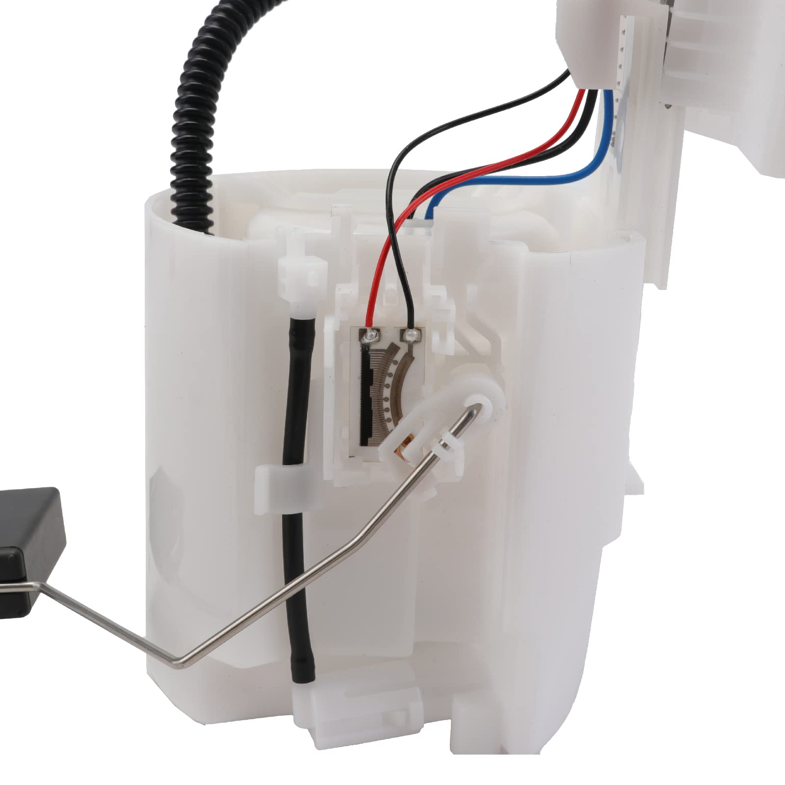 ホミちゃん イラストレーター・モニョチタポミチPOPUPが期間限定ショップ