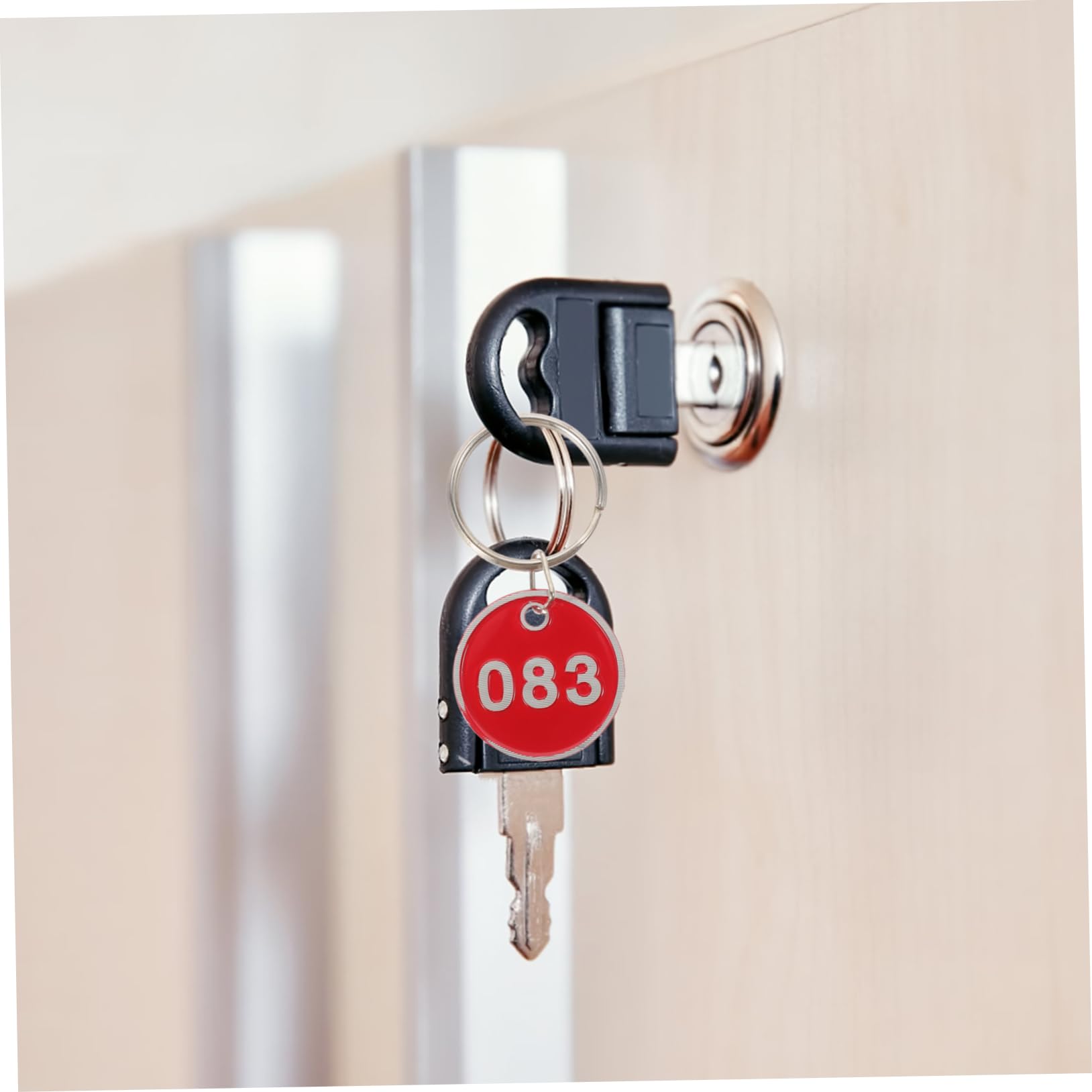 FRCOLOR Targhette Numerate con Anello in Lega di Alluminio Rosso 100 Pezzi Organizzazione e Conservazione per Chiavi e Bagagli per Armadietti e Supermercati