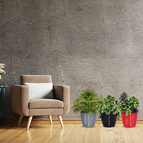 Image of Heavy Duty Plastic Maruti Jade Planter Pots with Indoor Self Watering Hanging Planter Pot Indoor Outdoor Garden Balcony Flowering Pot Gamla 5 Inches (Grey Pack of 3)