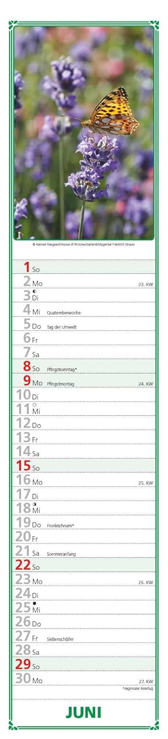 Paules Garden Planner 2025 - Strip Planner - Wall Planner - Kitchen Calendar - 11.3 x 49.5 cm      Calendar – Wall Calendar, May 1, 2024