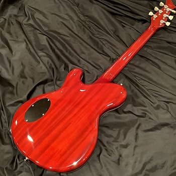 ギター Ryoga CICADA-G2E/HCH ギター Ryoga CICADA-G2E/HCH RYOGA CICADA-G2E｜セミホロウボディの