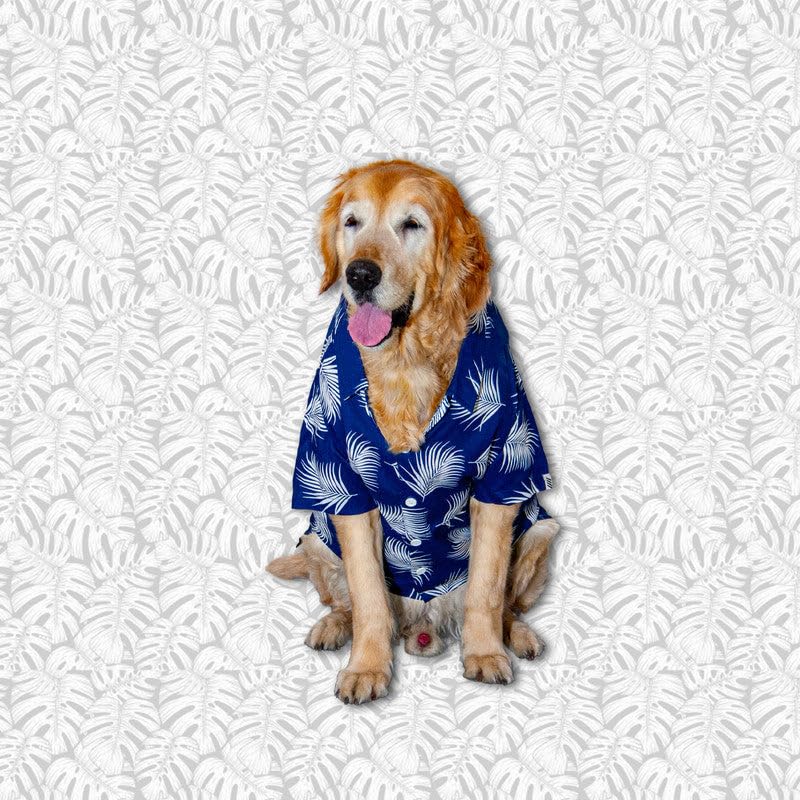 Ruse Tropical Tails Dog Shirt Blue Dog Shirt | SoftTech Fabric Clothes for Dogs and Clothes for Pets (B0D9SK2BV5) Amazon Price History, Amazon Price Tracker