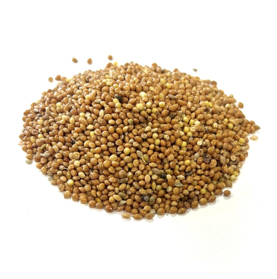 750g White Millet Seed for Cage & Aviary Birds LGDS