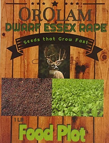 10 Lbs King Shot Forage Food Plot Bulk Dwarf Essex Rape Seeds Whitetail Deer Goose Honey Bee "Seeds That Grow Fast"