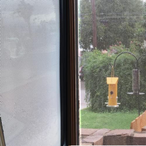 Vinilo negro perforado para privacidad en ventanas 12x78 pulg miniatura 3