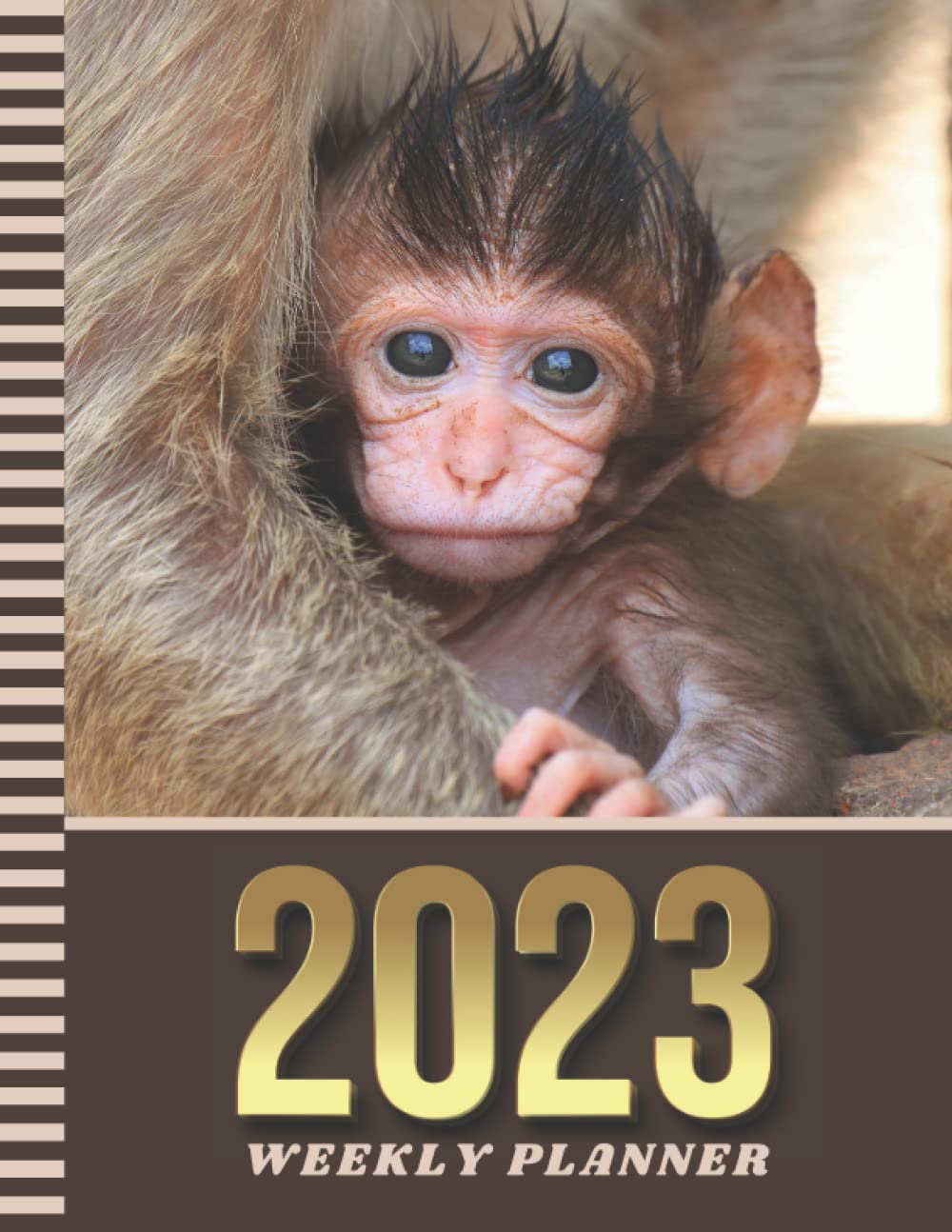 Buy 2023 Weekly Planner: Dated 8.5x11 52-Week Organizer With To Do List