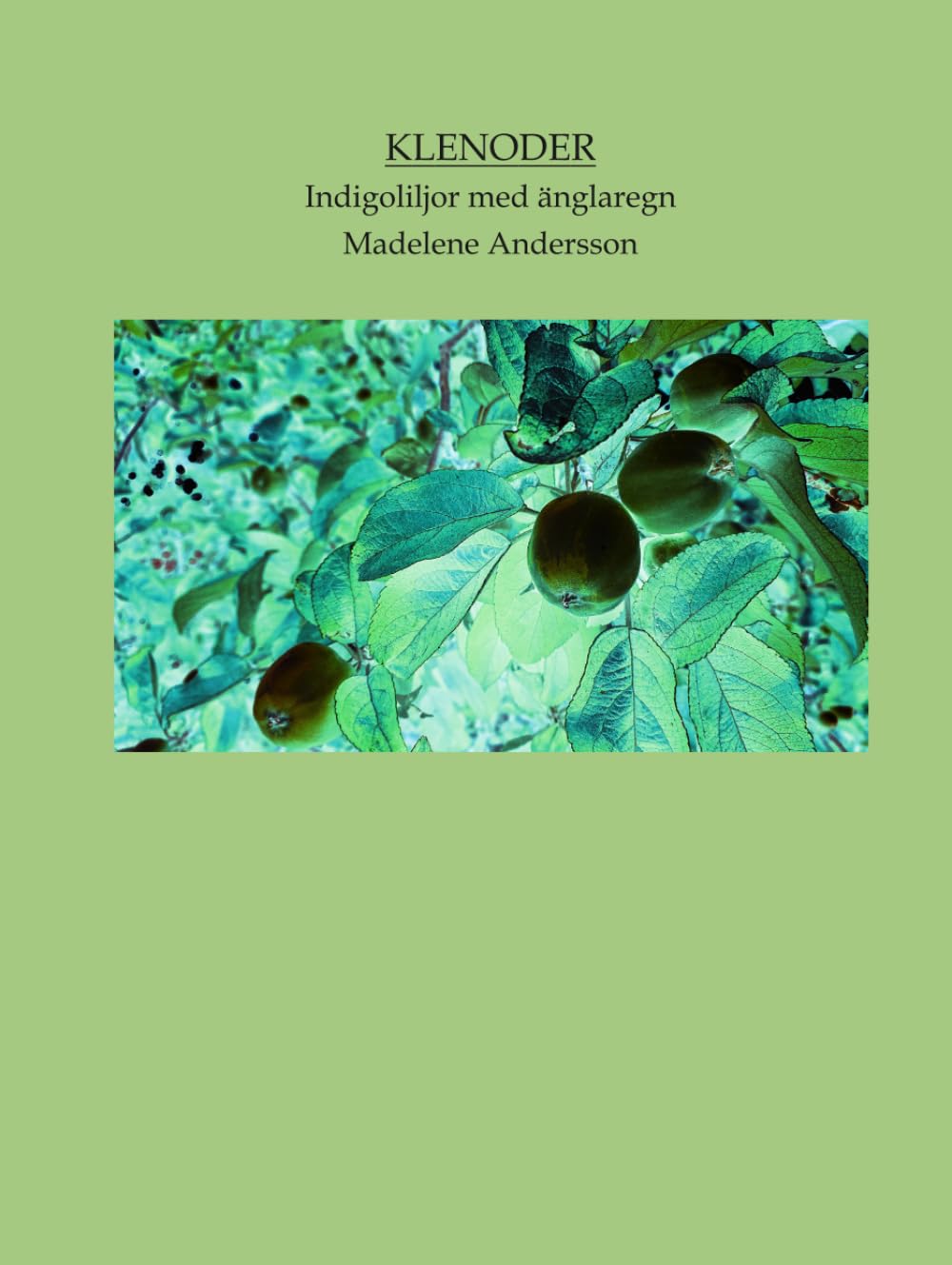 Indigoliljor med änglaregn Klenoder : transformez un intérieur terne en espace artistique
