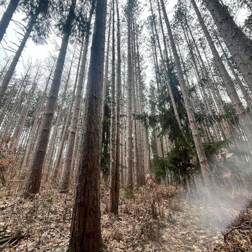 The Dhatus - Nourishing the tissues that hold your life